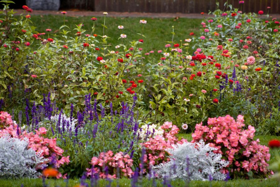 Layered flower border