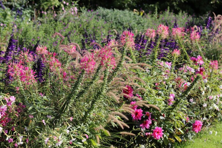 Layered flower border