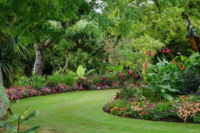Layered garden borders lawn path shrubs