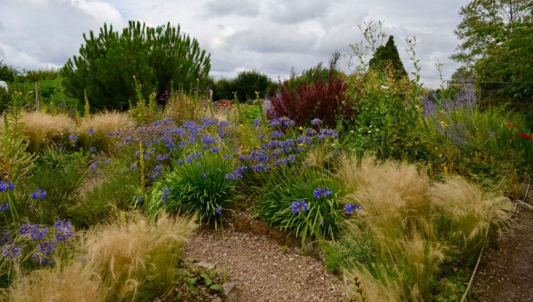 Layered garden border