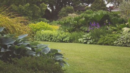 Layered mixed borders that give small gardens depth and character