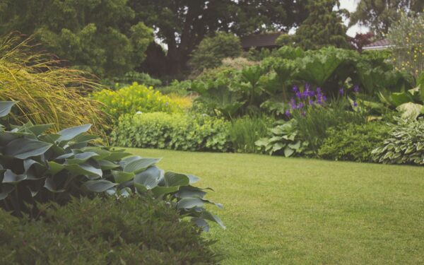 Layered mixed borders that give small gardens depth and character