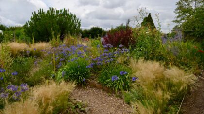 Low-maintenance flower beds that look good all year