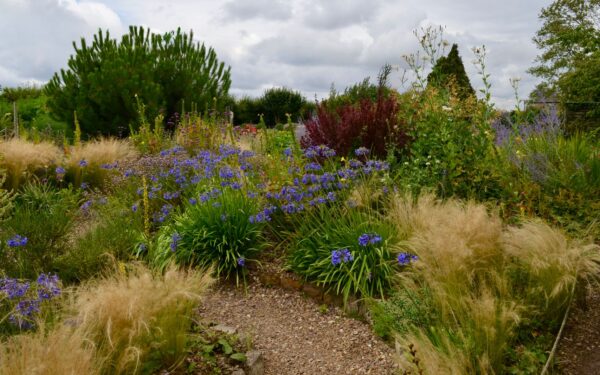 Low-maintenance flower beds that look good all year