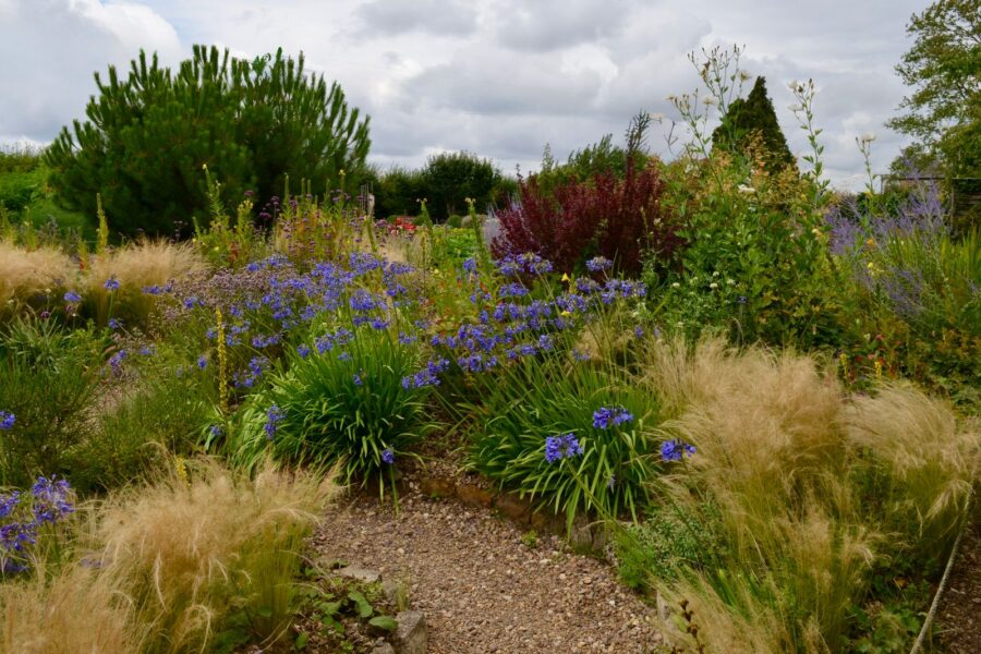 Perennial flower bed