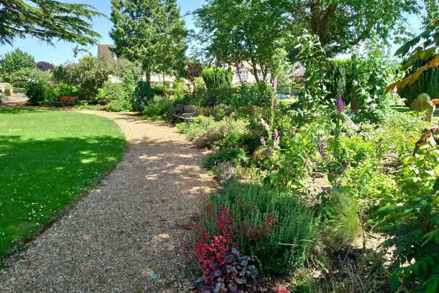 Low maintenance garden