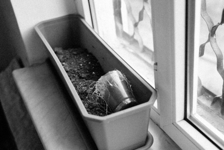 Close potting soil
