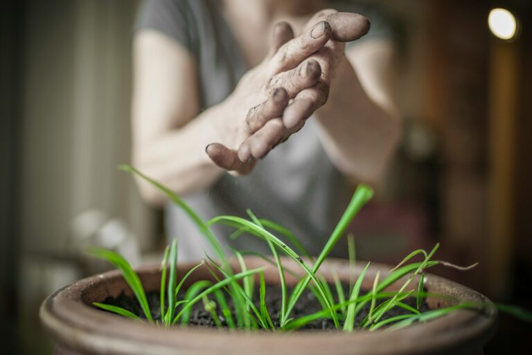 Watering containers balcony evening close soil moisture hand