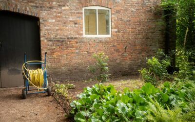 Morning and evening watering explained for easier, more resilient gardens