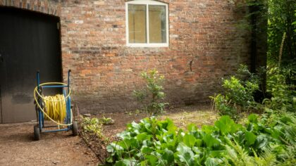 Morning and evening watering explained for easier, more resilient gardens