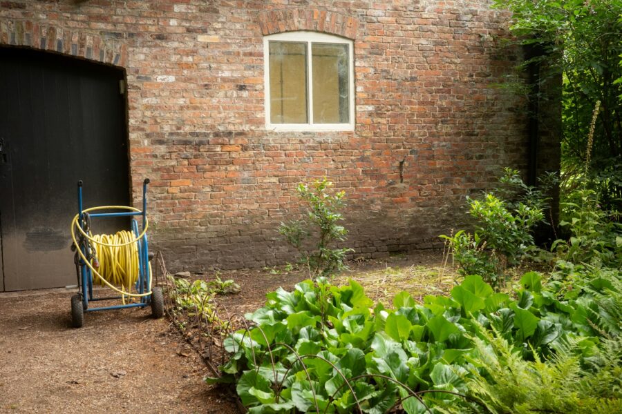 Garden hose watering vegetable bed morning light