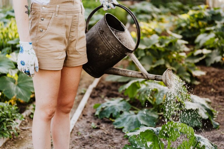 Morning garden watering