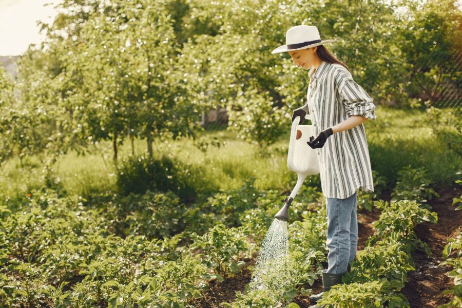 Morning garden watering