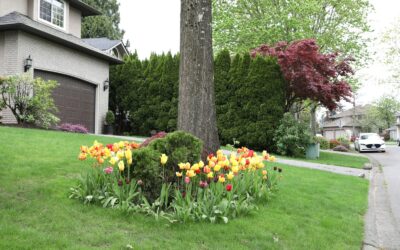 Natural front yard gardening ideas that fit into everyday life