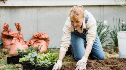 Natural gardening basics for a low-maintenance, chemical-light backyard