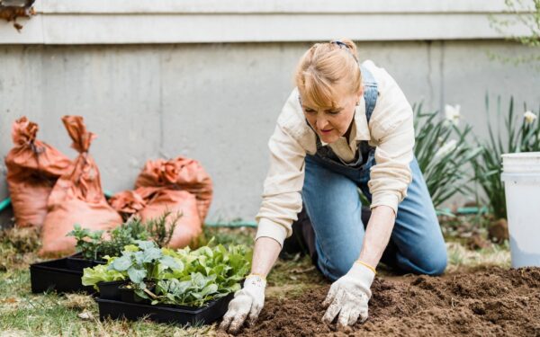Natural gardening basics for a low-maintenance, chemical-light backyard