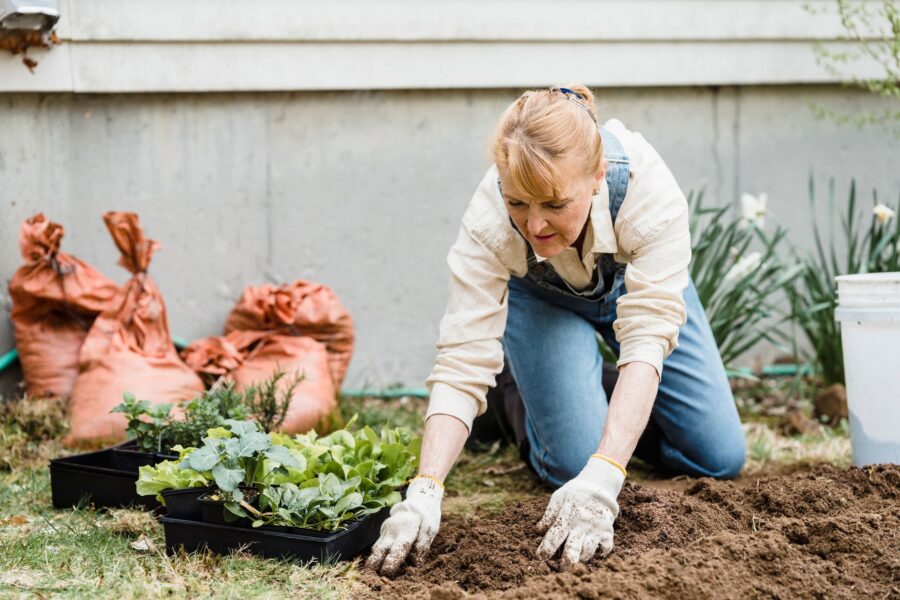 Backyard garden mulch