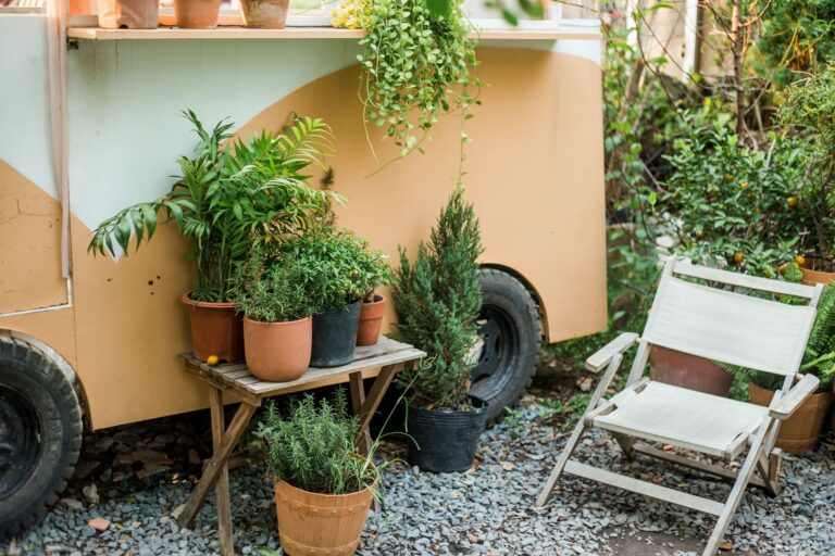 Patio containers climbers