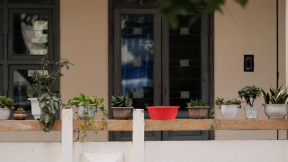 Patio planting ideas that turn a hard surface into a green retreat