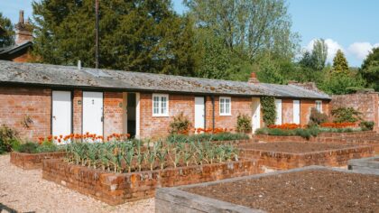 Perennial flowers that support productive vegetable beds year after year