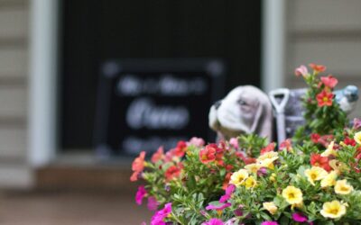 Weekly yard care habits that keep your outdoor space healthy with less work