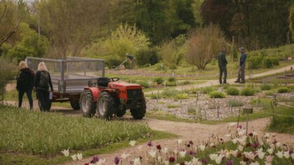Smart weeding strategies that keep beds tidy without constant effort