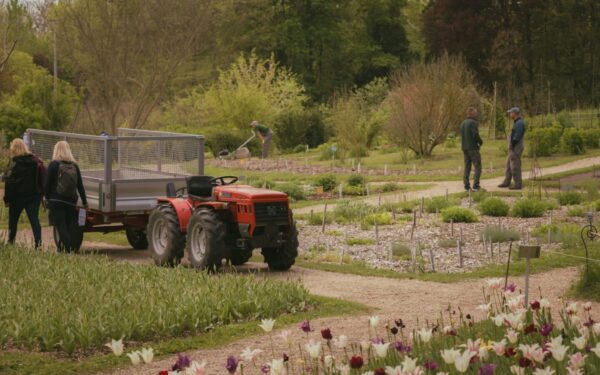 Smart weeding strategies that keep beds tidy without constant effort