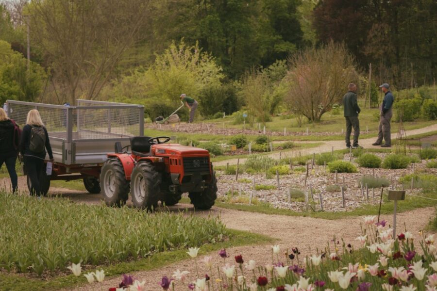 A scenic view of a tractor in a vibrant spring garden in Vácrátót, Hungary.