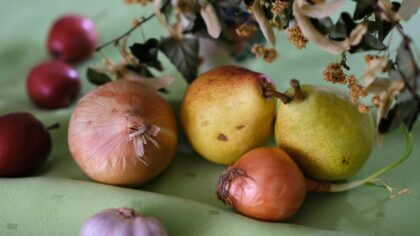 Why garlic and onions turn yellow in the garden and how to fix it