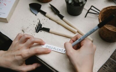 Beginner garden planning made simple for your first productive season
