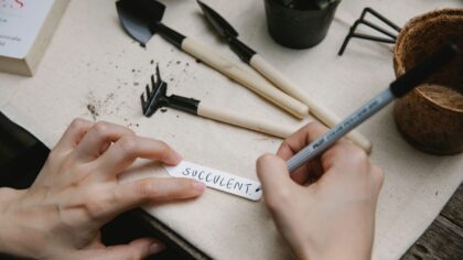 Beginner garden planning made simple for your first productive season