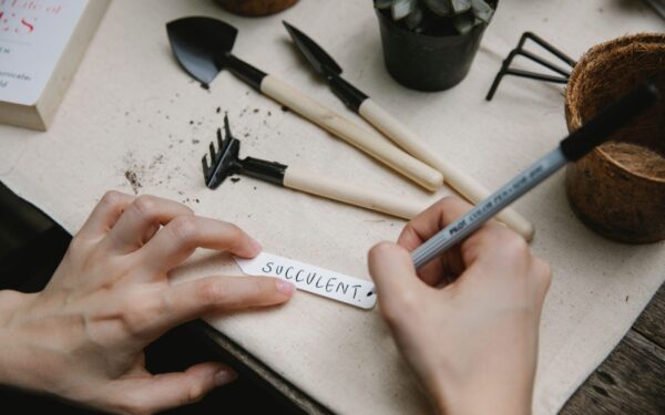 Beginner garden planning made simple for your first productive season