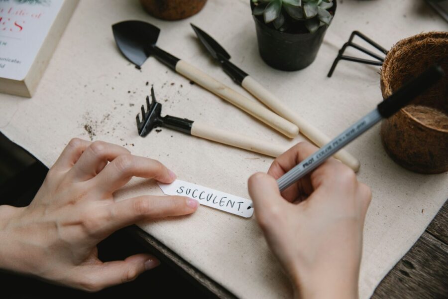 From above of crop anonymous gardener writing succulent on paper piece while working at table with gardening instruments