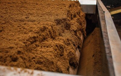 Simple organic matter upgrades that quietly improve your soil over time