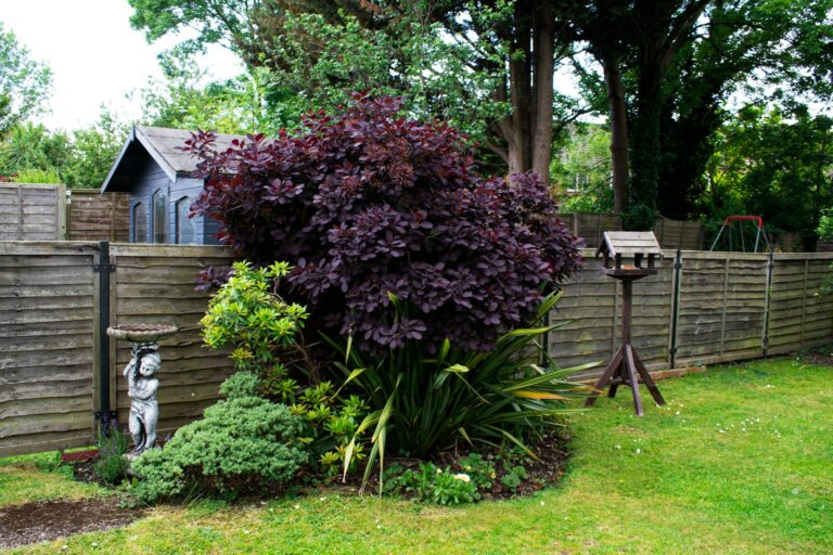 Family garden lawn