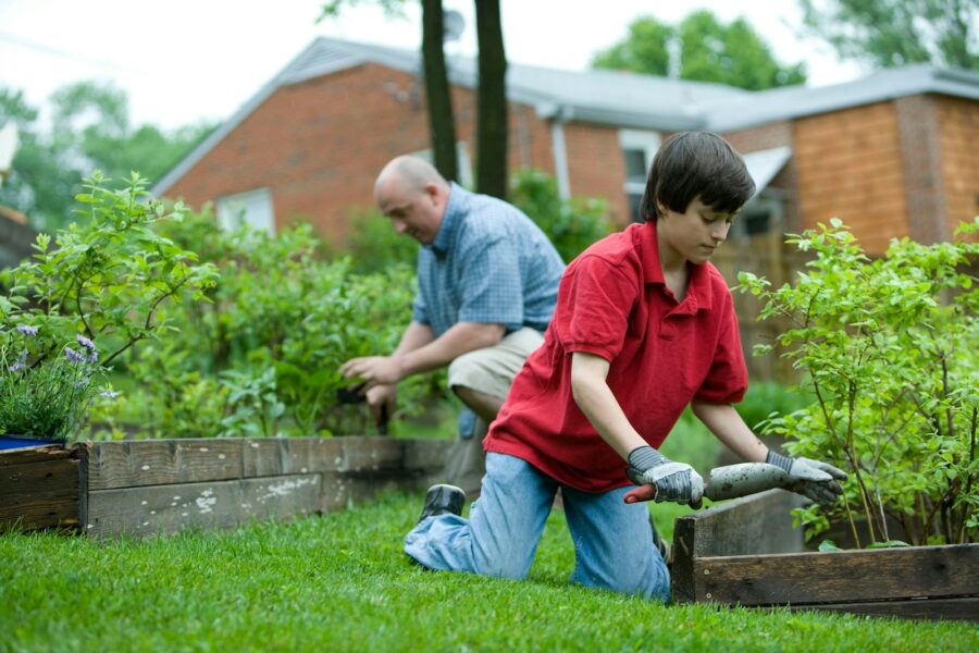 Family garden lawn