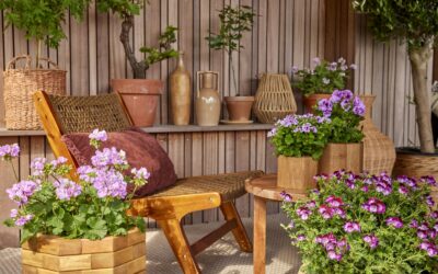 Pots with a purpose: smart container ideas that make small outdoor spaces work harder