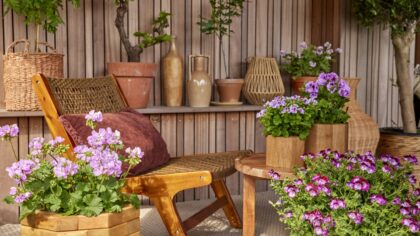 Pots with a purpose: smart container ideas that make small outdoor spaces work harder
