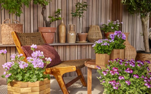 Pots with a purpose: smart container ideas that make small outdoor spaces work harder