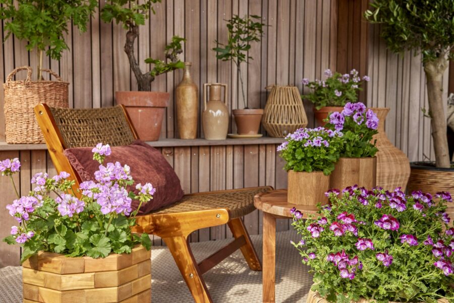 Small balcony garden