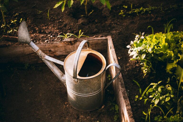 Watering can soil