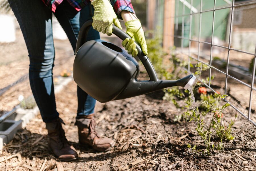 Watering can soil