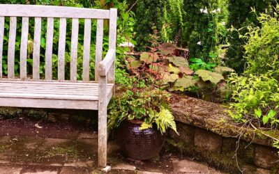 Privacy screen ideas that turn exposed gardens into calm outdoor rooms