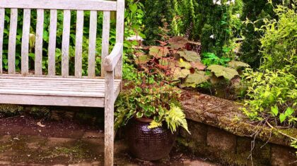Privacy screen ideas that turn exposed gardens into calm outdoor rooms