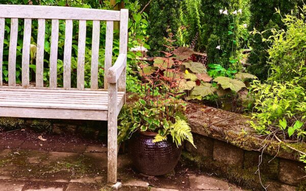 Privacy screen ideas that turn exposed gardens into calm outdoor rooms