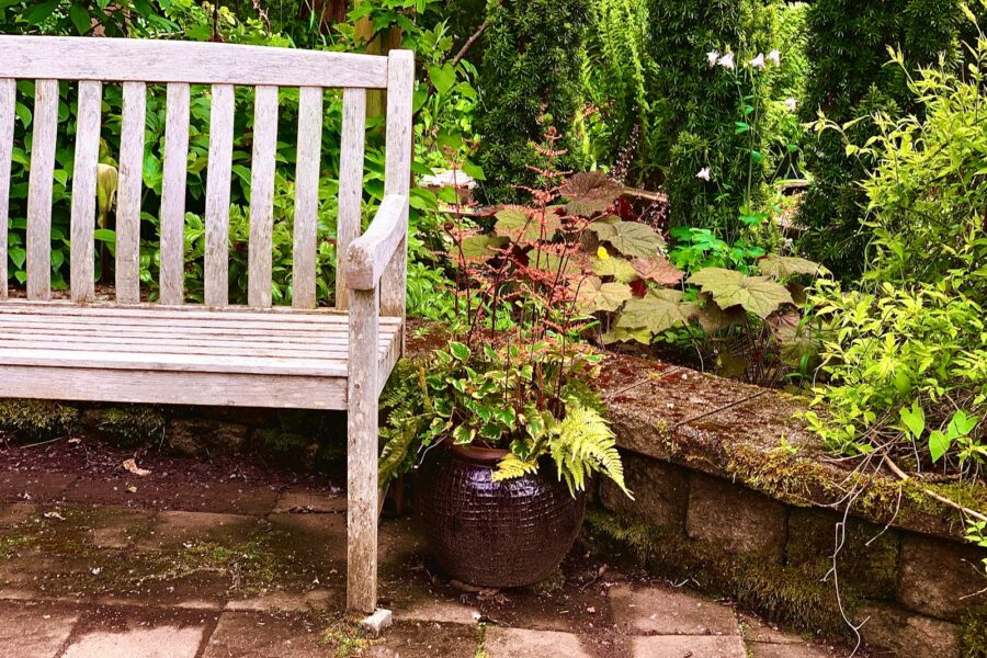 Small garden privacy