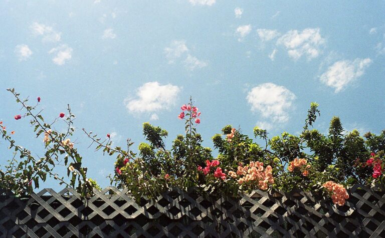 Balcony privacy planters