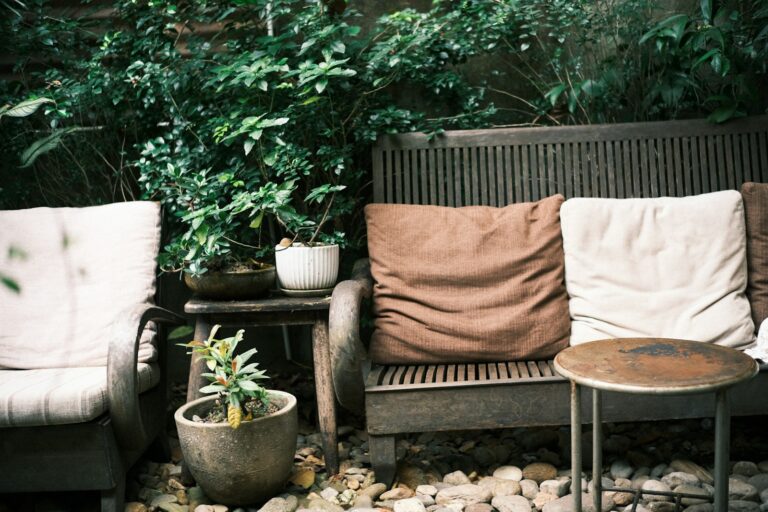 Small garden privacy