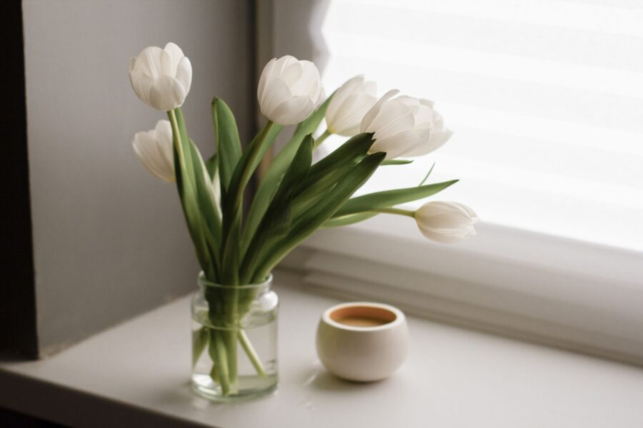 Glass jar plant