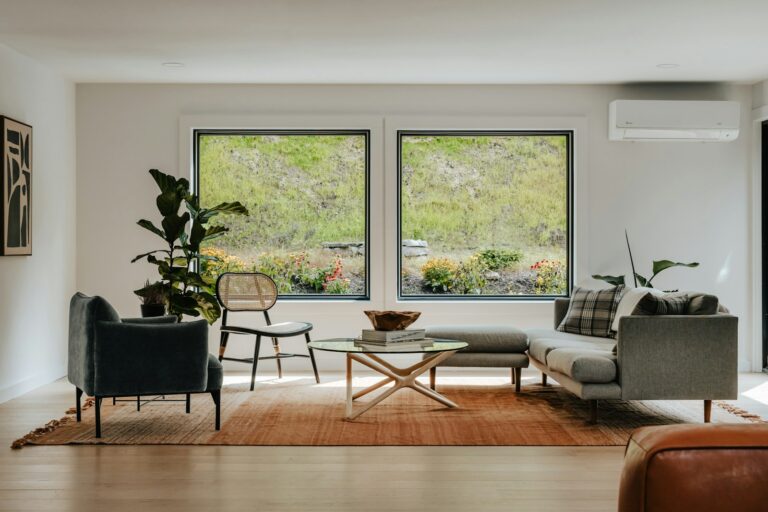 Sunny window indoor plants living room